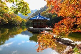 내장산 단풍터널 드라이브 코스 주차장 위치까지 총정리_44