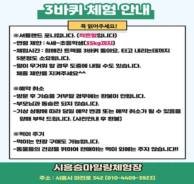 시흥승마힐링체험장