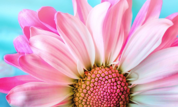 장마 시작일 2025년 최신 정보 20