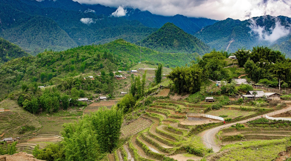 로컬 체험 관련 사진