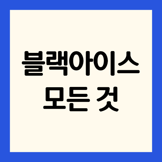 블랙아이스-예방 방법