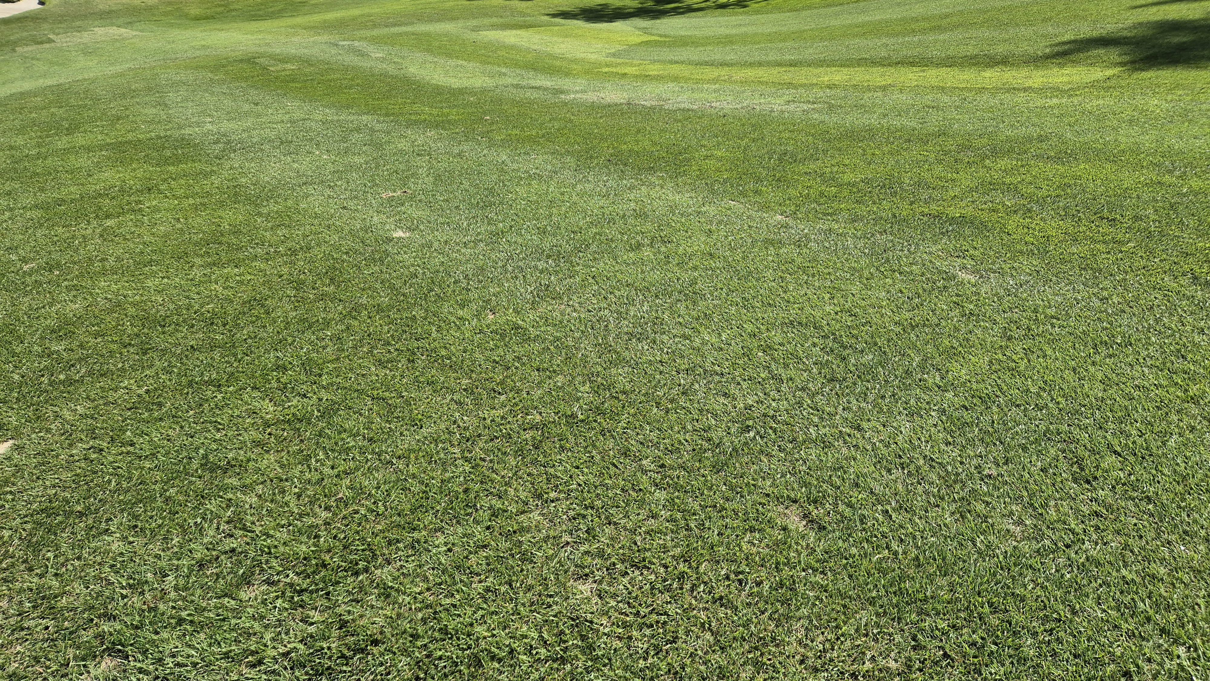 오로라cc 코스 관리 상태