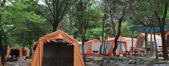 과천 서울대공원4