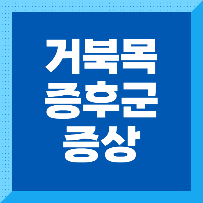 거북목 증후군 증상