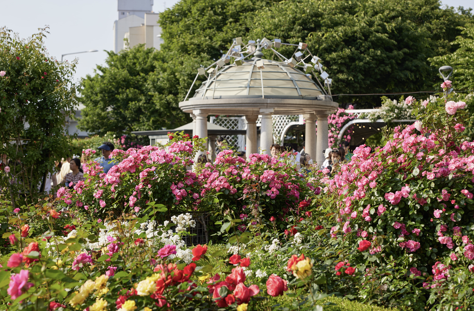 중랑 서울장미축제 포토존