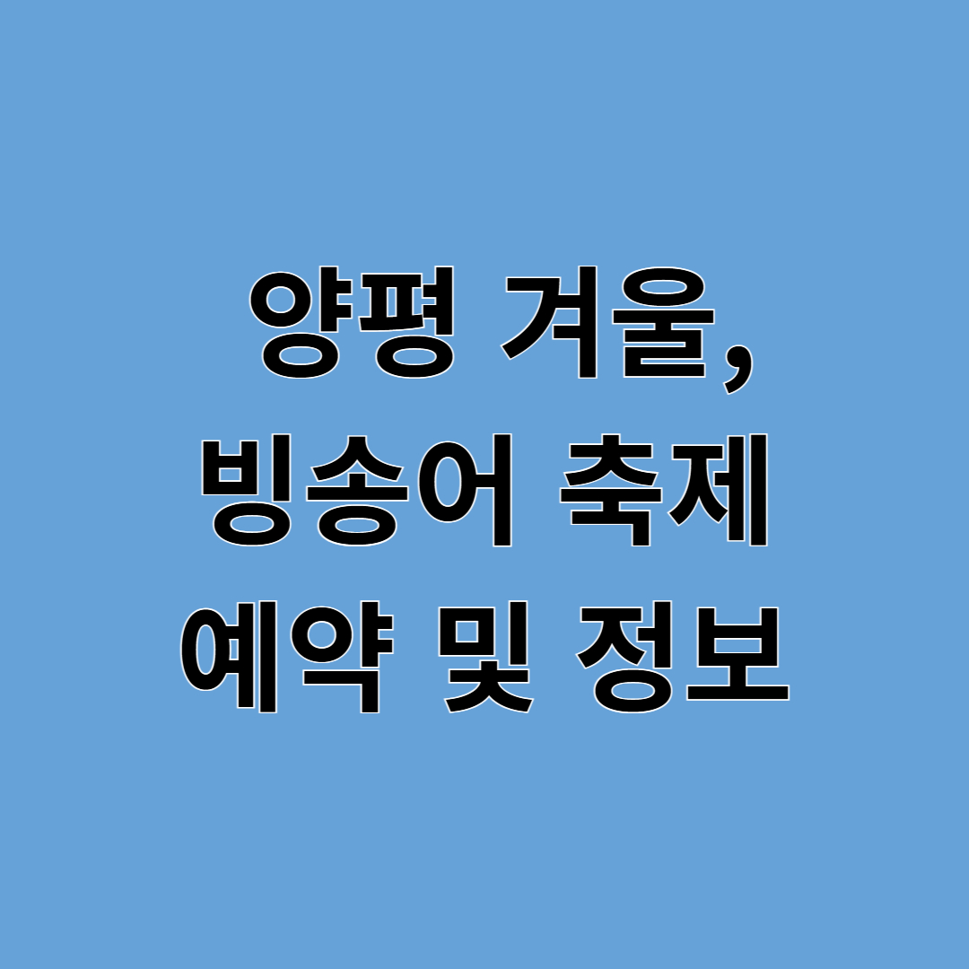 양평 겨울 축제: 송어와 함께하는 특별한 하루