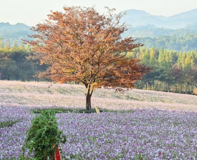 예산 가볼만한곳 베스트 10