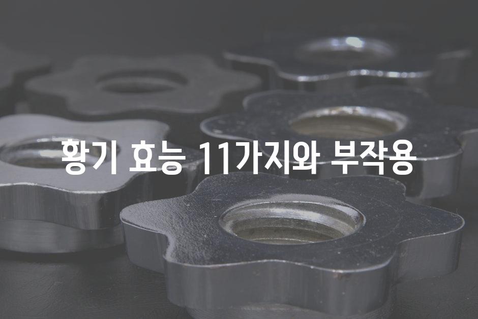 샘플 (52)