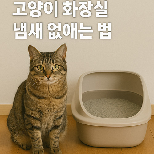 고양이-화장실-냄새-없애는-법