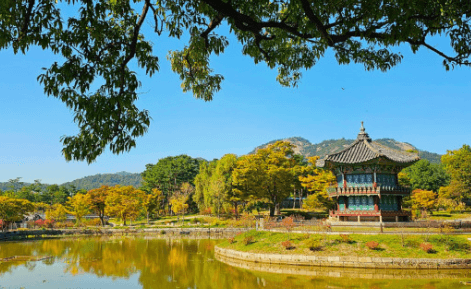 경복궁달빛야행 행사정보유의사항