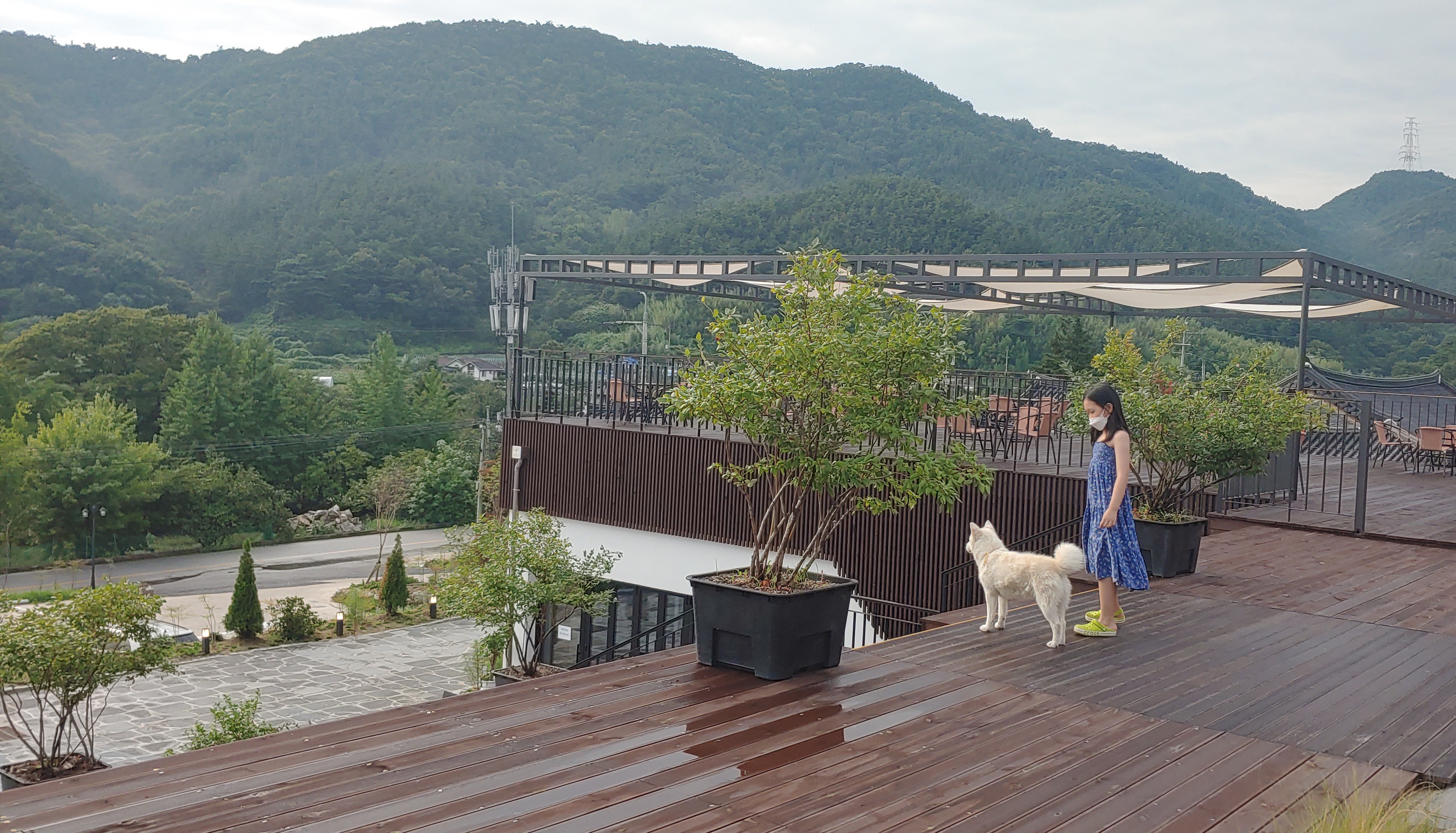 카페 달밤 테크 모습