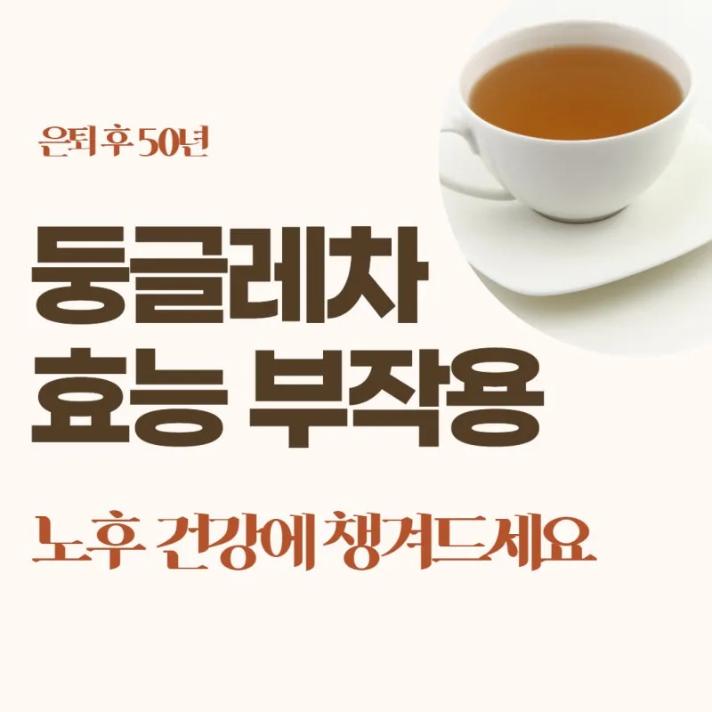 둥글레차 효과 건강에 좋은 차 효능 정리_7