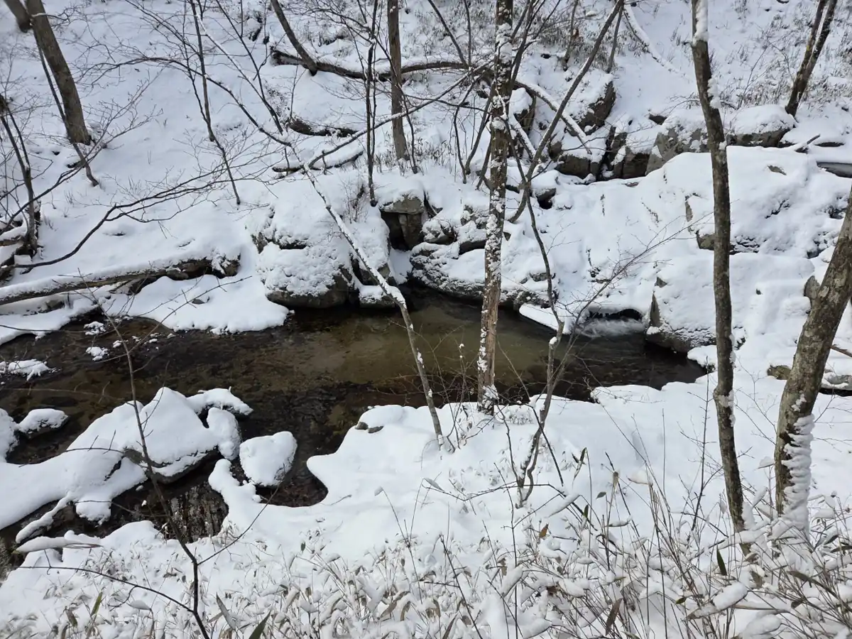 눈 덮인 산속 계곡 풍경