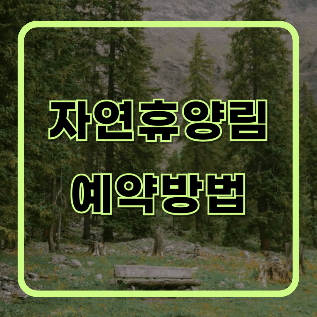 자연휴양림 숲나들e 예약방법, 내가 추천하는 자연휴양림 Best 3