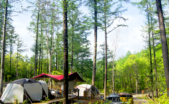 애견동반 자연휴양림