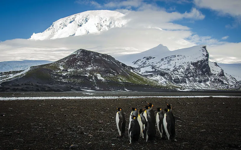 유네스코 세계유산 허드섬과 맥도널드 제도 영토