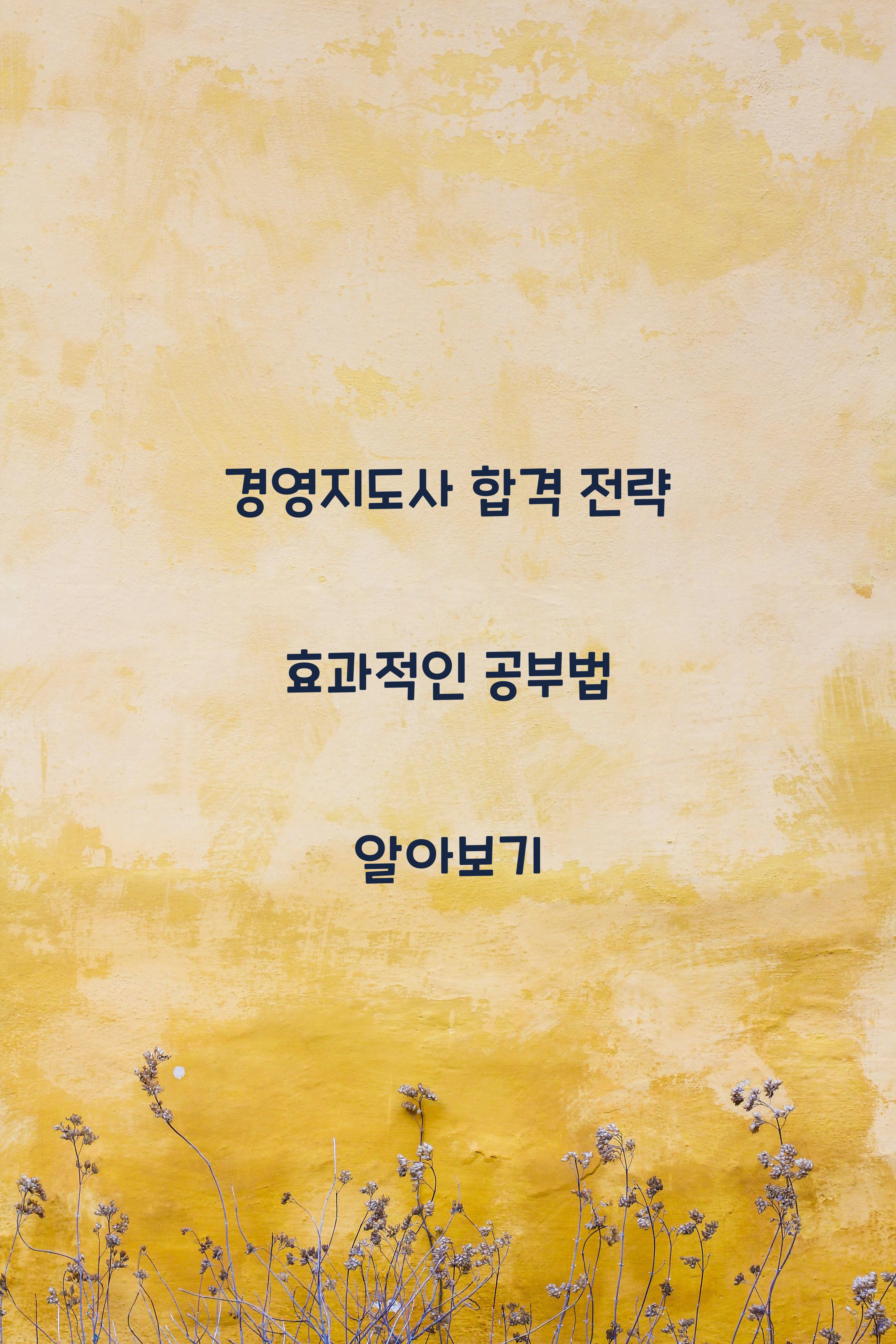경영지도사