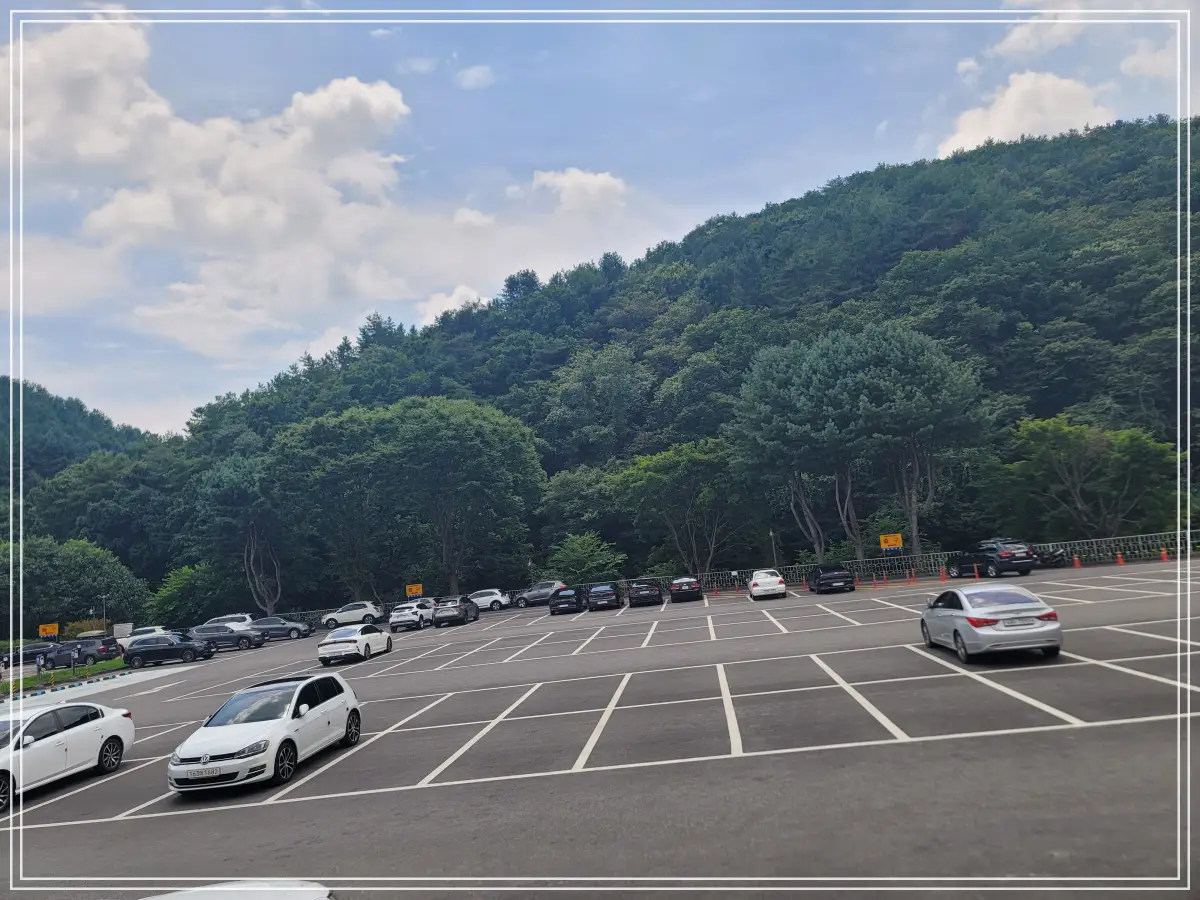 용문사-20250808_125052