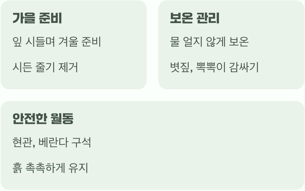 겨울잠 재우기, 월동 관리법