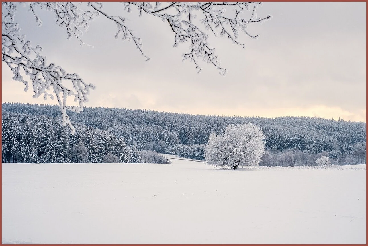 정기예금 이율높은곳