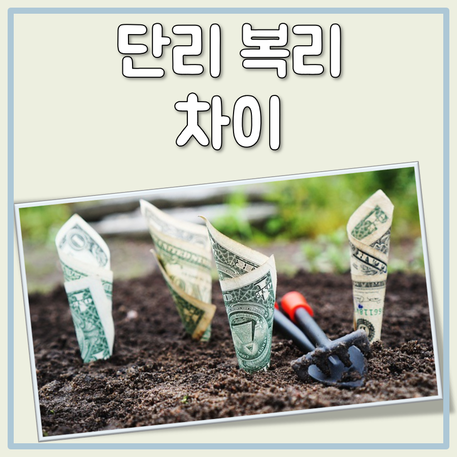 단리 복리 차이 대표 이미지