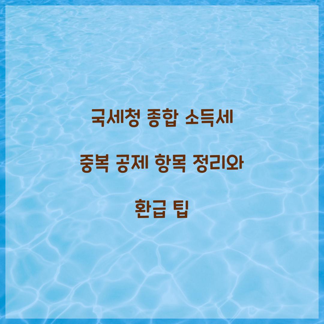 국세청 종합 소득세 중복 공제 항목 정리