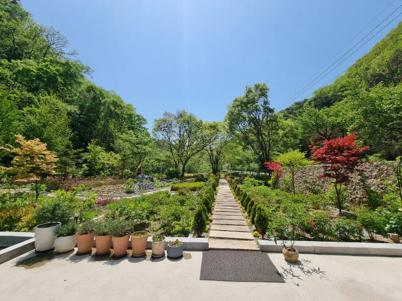 카페의-미니정원