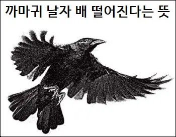 까마귀 날자 배 떨어진다는 뜻