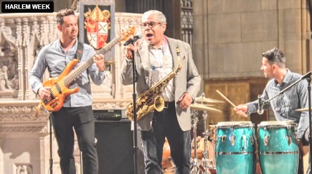  할렘 위크 미리보기5