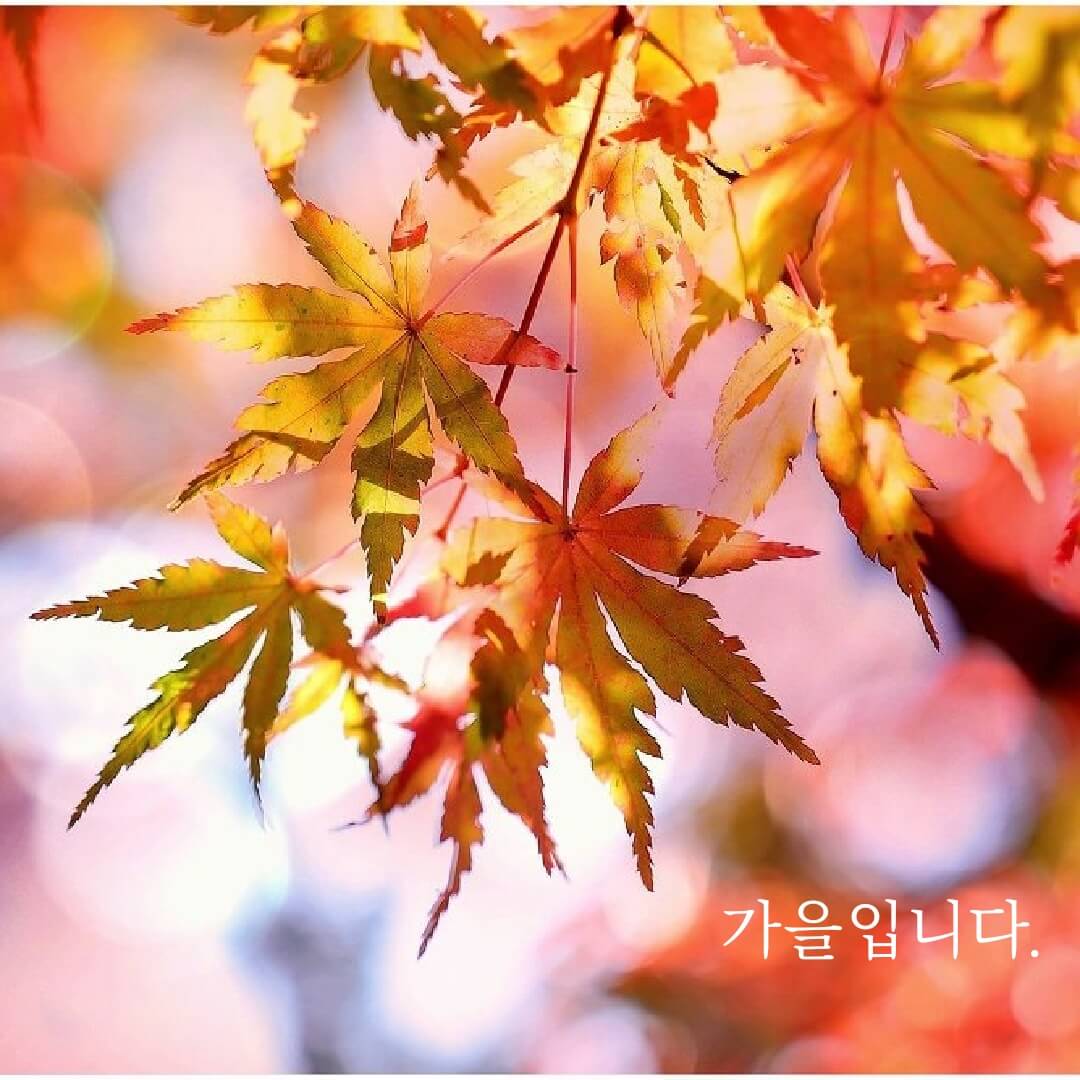 가을 좋은글 모음