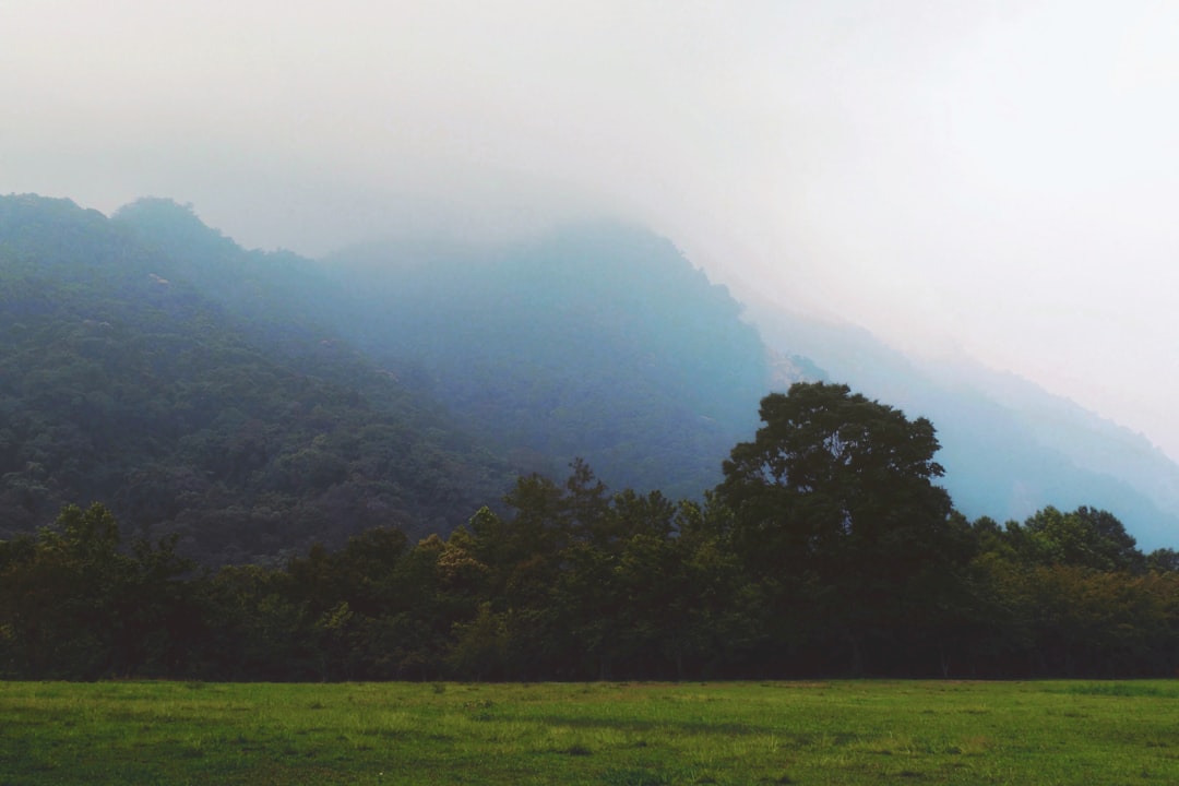 Taiwan weather
