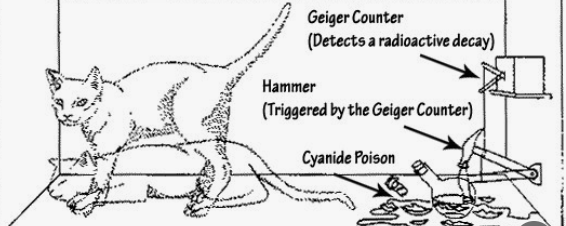 양자역학이란, 입자인가 파동인가, 이중슬릿실험과 슈레딩거의 고양이 그리고 닐스 보어의 주장