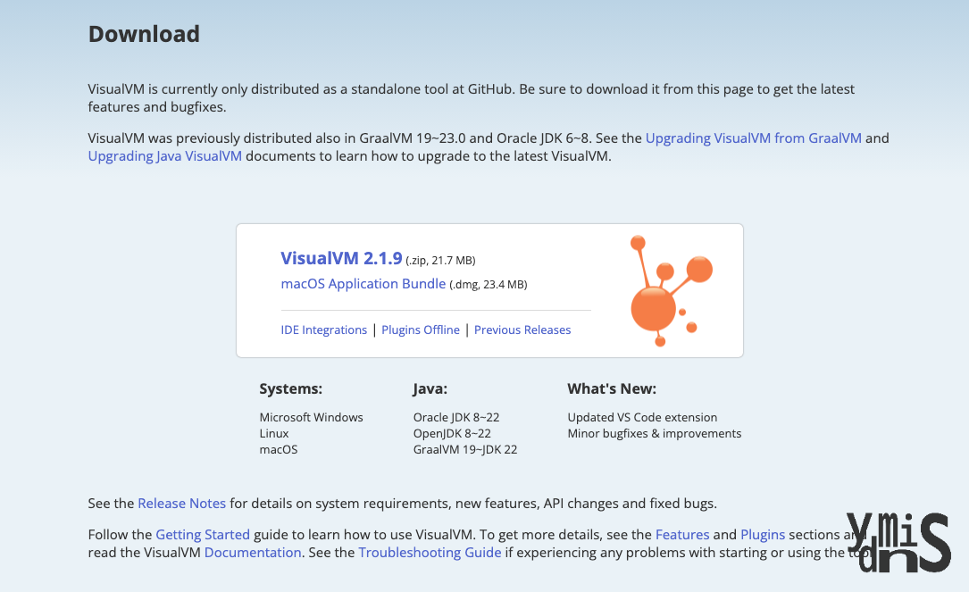 visualVM 웹사이트 모습이다.