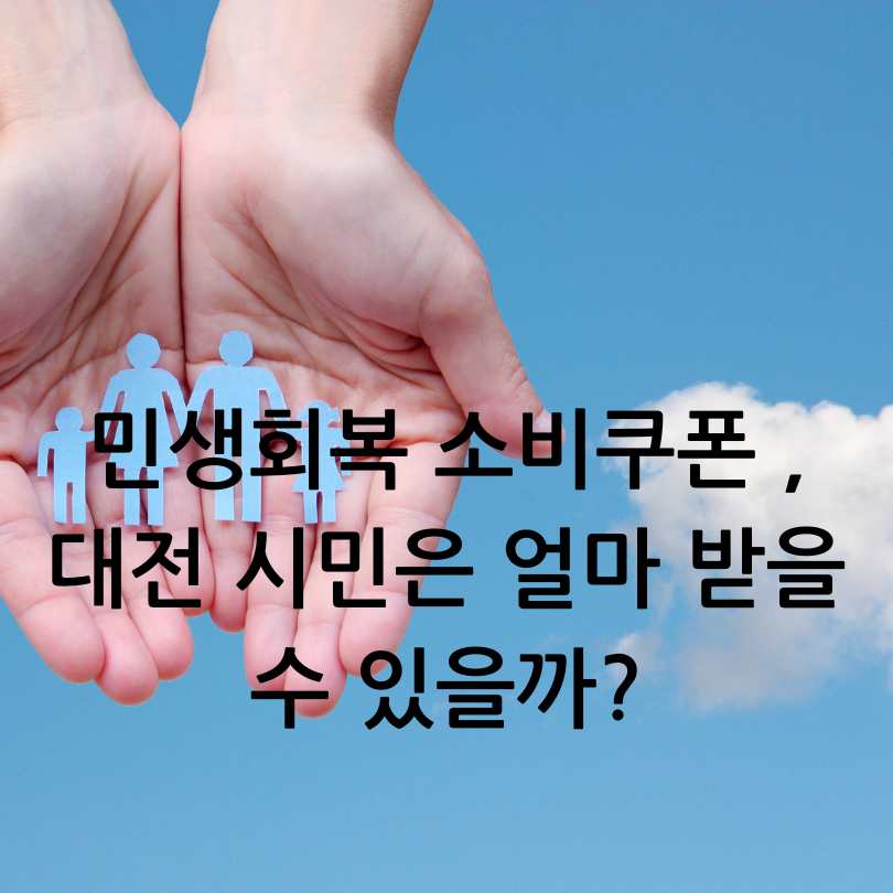 민생회복 소비쿠폰 ,대전 시민