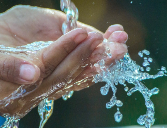 요충 치료 방법 정리