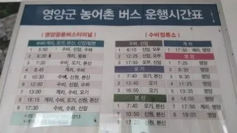 영양 시외버스터미널 시간표 예매 요금_7