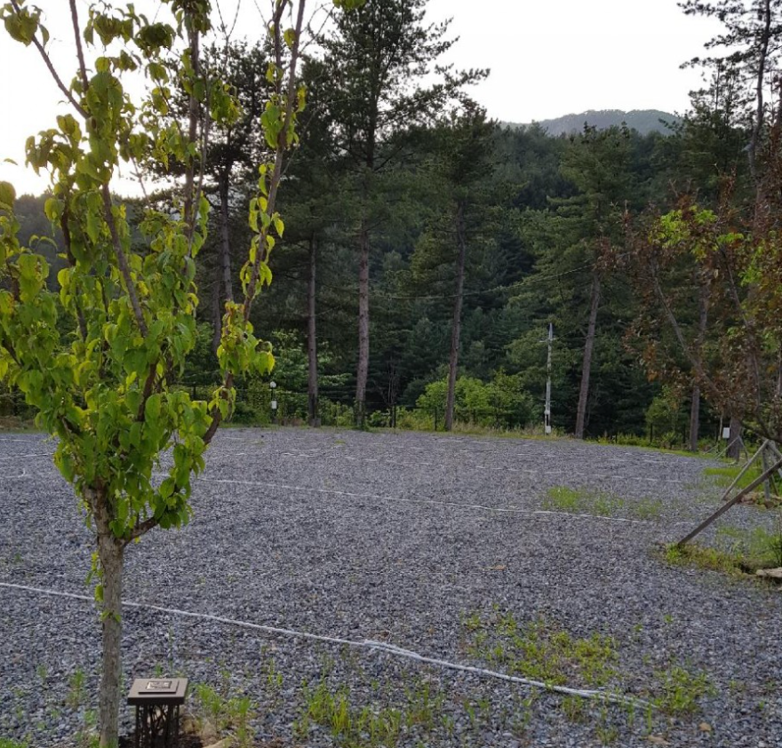 경기-가평-두밀숲-캠핑장-사진-입니다.