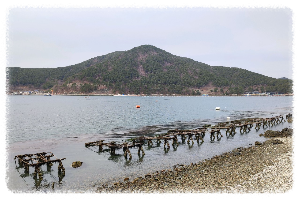 산달도