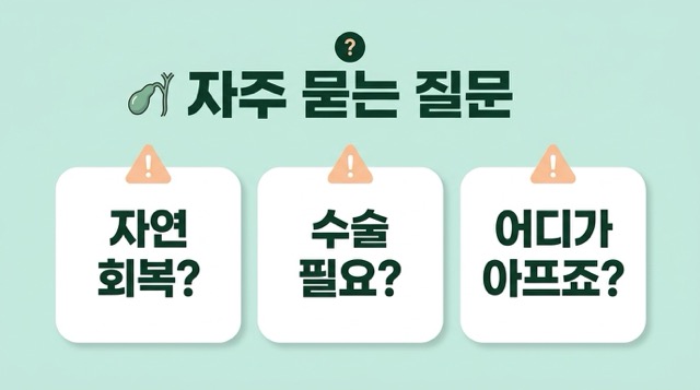 담낭염 자주 묻는 질문 자연 회복 수술 통증 위치