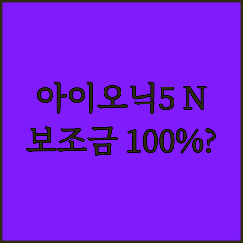 아이오닉5 N라인 AWD 모델 보조금..