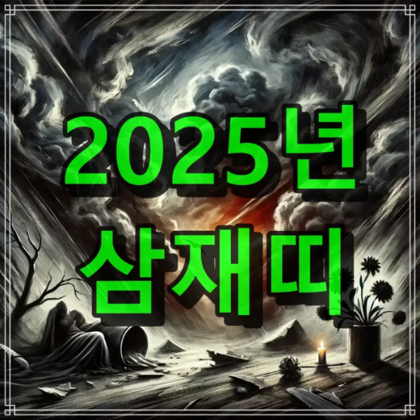 2025년 삼재띠