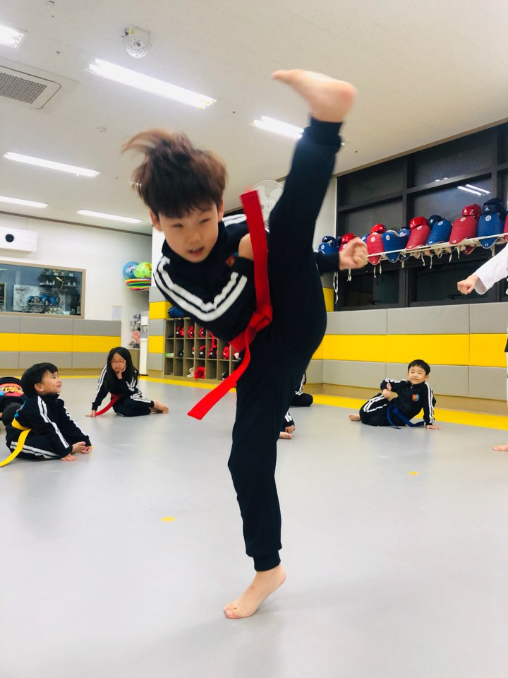 용인대석사태권도