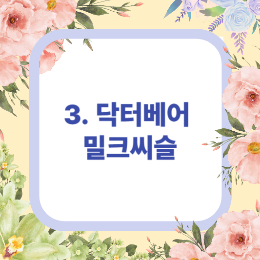 다이소영양제 건강기능식품 추천 제품 TOP 4