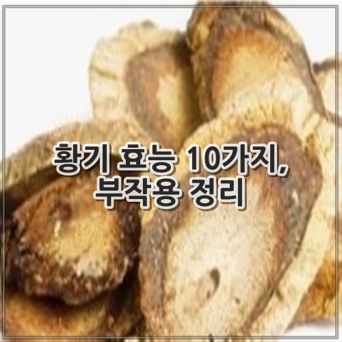 황기 효능 10가지, 부작용 정리