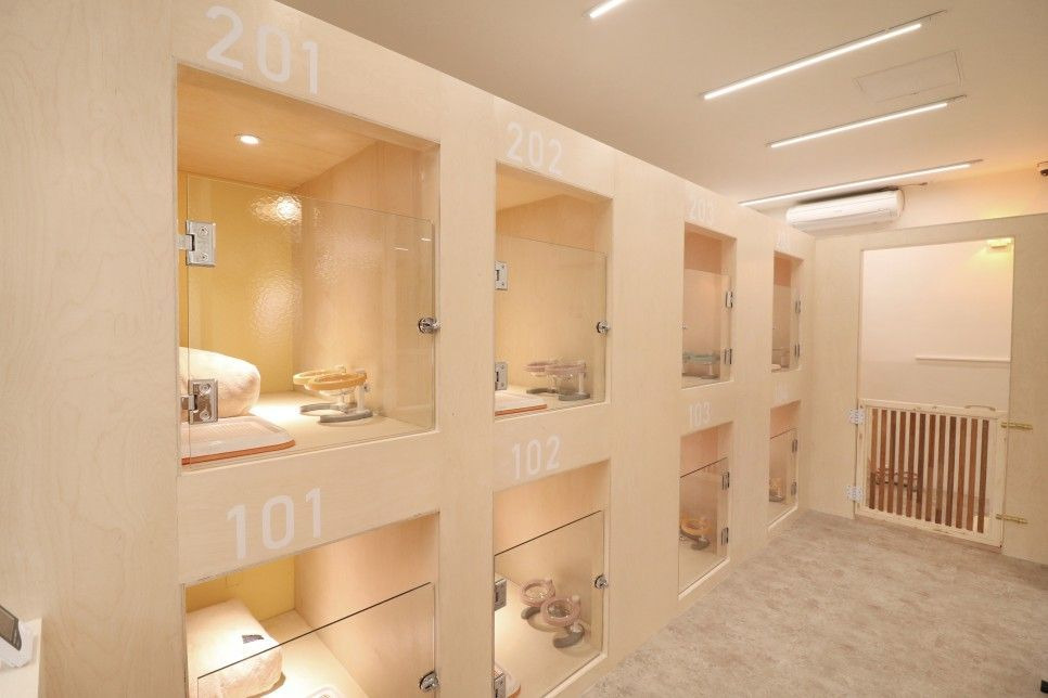 강아지 숙소에서 편안하게 쉬는 모습