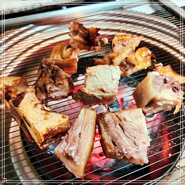 생방송 투데이 고성, 아야진, 속초 참치, 참치머리 숯불구이 맛집