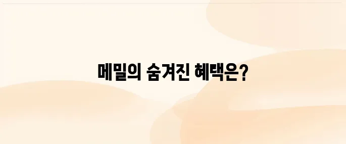 메밀 효능·섭취법·주의사항 알아보기