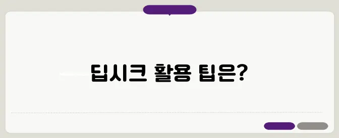 딥시크 다운로드 사용법