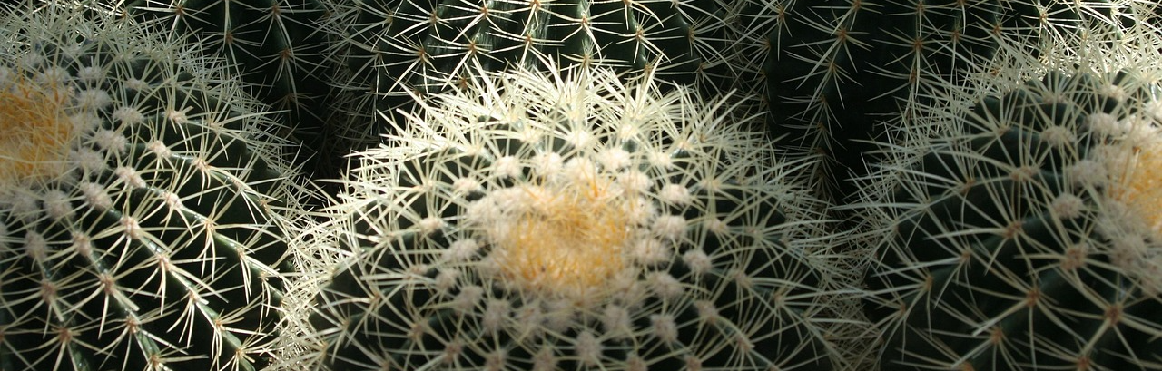 제주의 수목원 & 정원