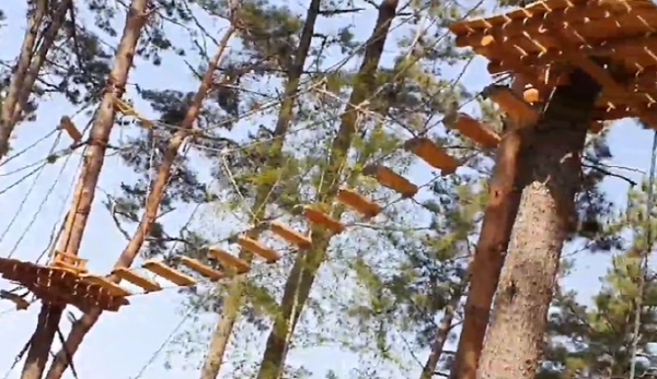 거제 맹종죽테마공원